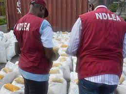 Niger to support NDLEA for drug-free society