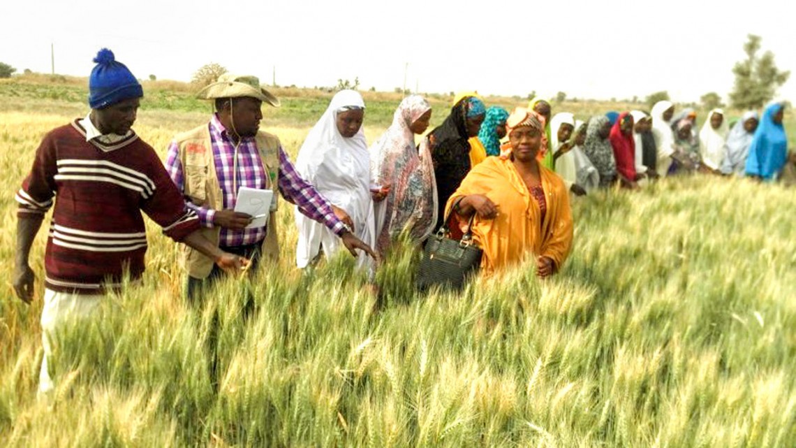 Access Bank partners Xploits Consulting, train 189 people on agribusiness in Kogi, Niger states