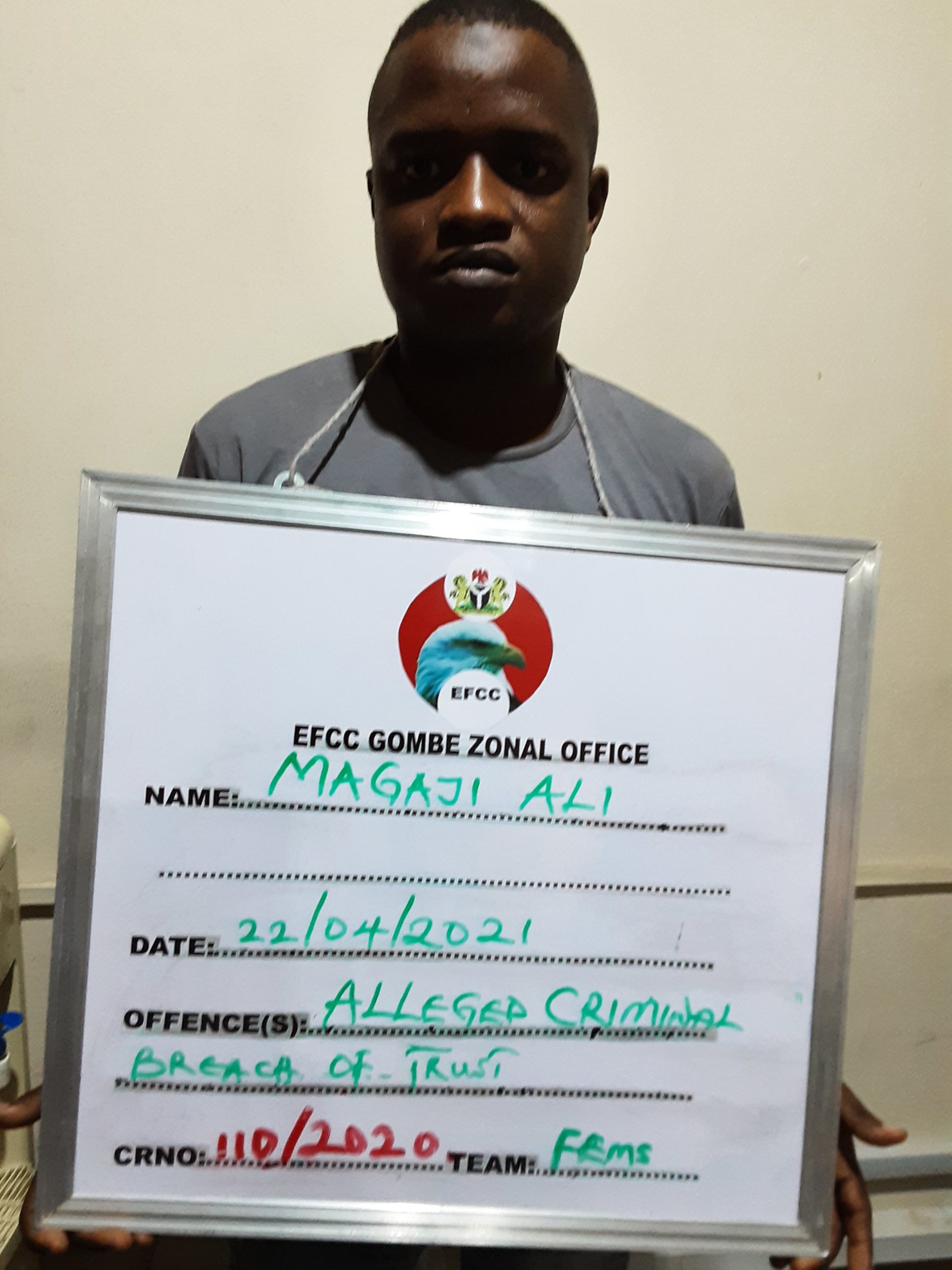 Cow thief bags 2 year jail term in Bauchi