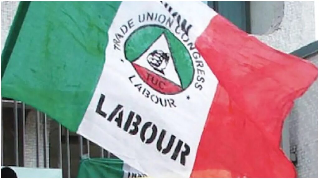Niger chapter of NLC joins nationwide strike
