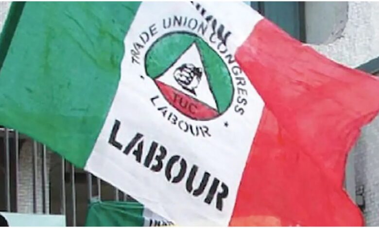 Niger chapter of NLC joins nationwide strike