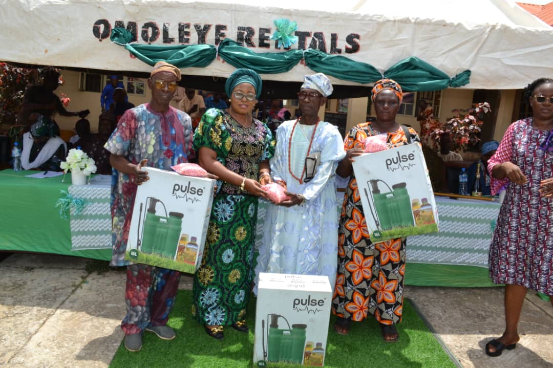 Irewolede LCDA boss empowers farmers to boost food security