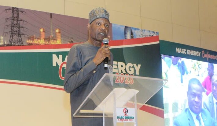 SEEPCO Champions Green Energy Future at NAEC 2025: forum promises to proof in Nigeria’s sustainability drive