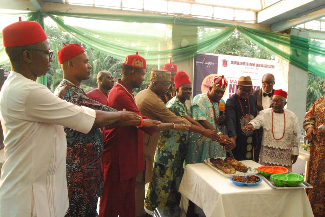 Anambra North uses New Yam Festival to enhance yam production, economy, culture