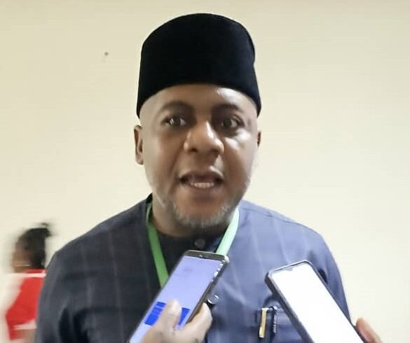 Prince Aliyu Audu hails new NiDRes platform, pushes for direct Nigeria–Dublin flight, calls for easier Diaspora investment