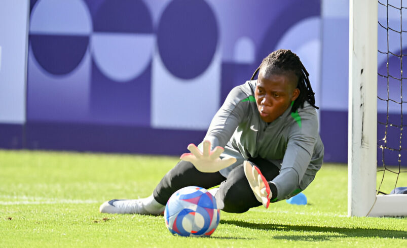 Nnadozie earns back-to-back WSL Save of the Month nomination