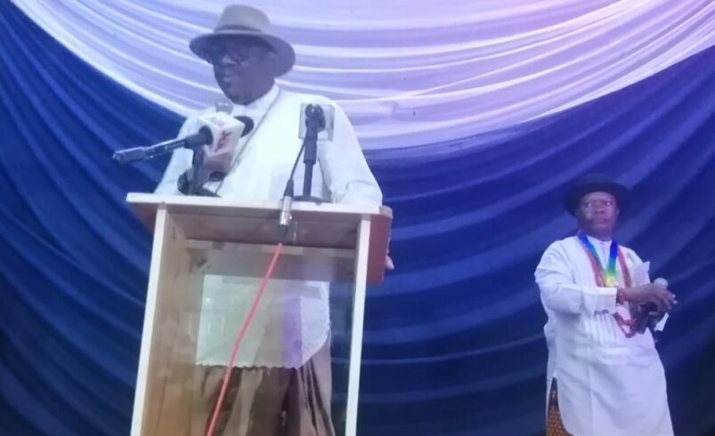 Dafinone, Etanabebe call for unity, revival of Urhobo influence at Abuja Cultural Day