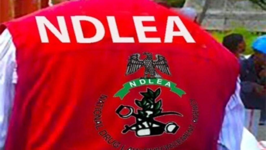 NDLEA seizes N1.8bn illicit drugs in Edo, arrests 104 suspects in 3 months