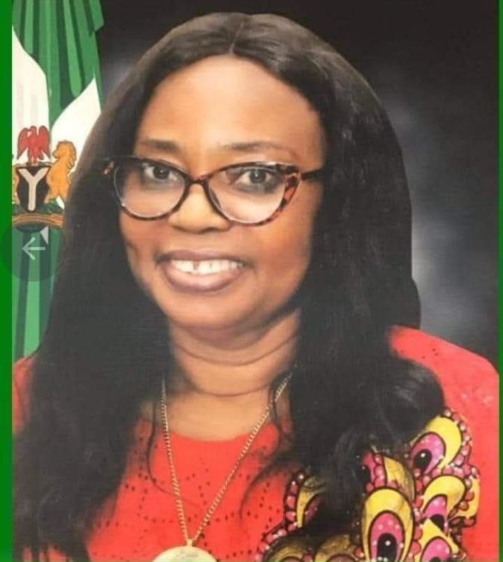Commissioner calls for holistic support of Uzodimma’s power sector reforms, road rehabilitation, heaIh care in Imo