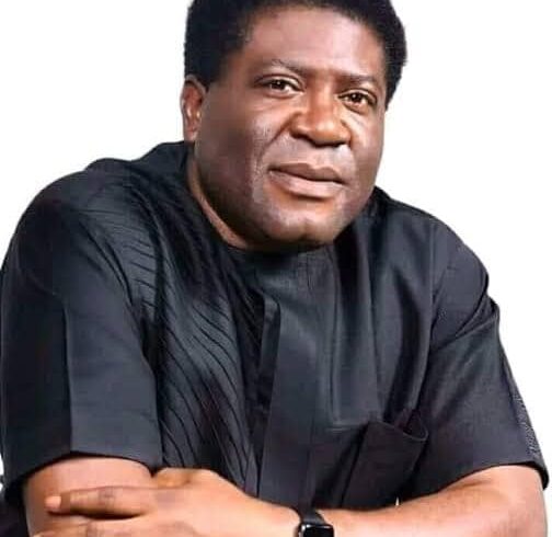 2027 Imo East Senatorial Election: Ex-Imo Deputy Governor receives diaspora endorsement