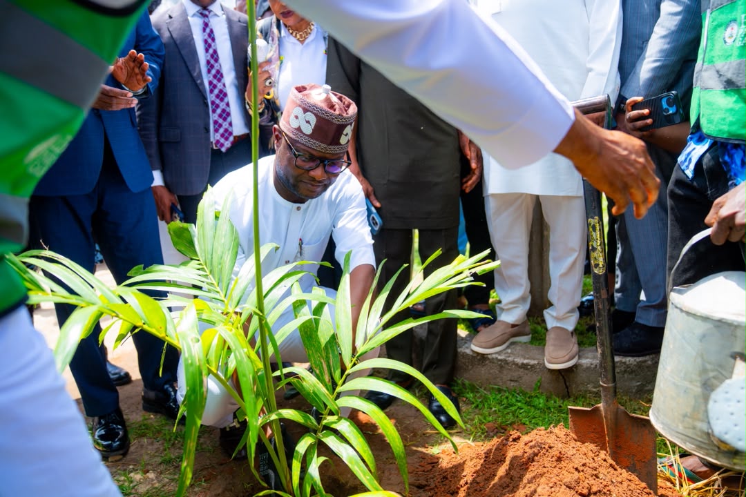 World Environment Day: Trees are essential to life, Gov Okpebholo