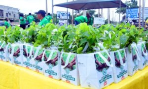 Abiodun calls for collective action as Ogun promotes tree planting