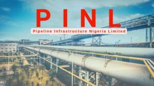 PINL efficiency has protected environment, preserved farms, saved aquatic ecosystems — says Niger Delta Group