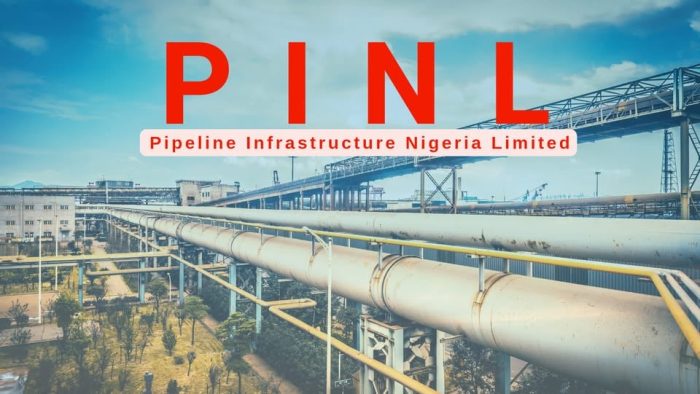 PINL efficiency has protected environment, preserved farms, saved aquatic ecosystems — says Niger Delta Group