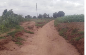 Rural Infrastructure: Gudau-Jola Road neglected despite much appeal -Reports