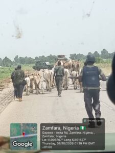 OPFY troops arrest terrorist collaborator in Kaduna, destroy 3 improvised explosive devices, recover rustled livestock in Zamfara