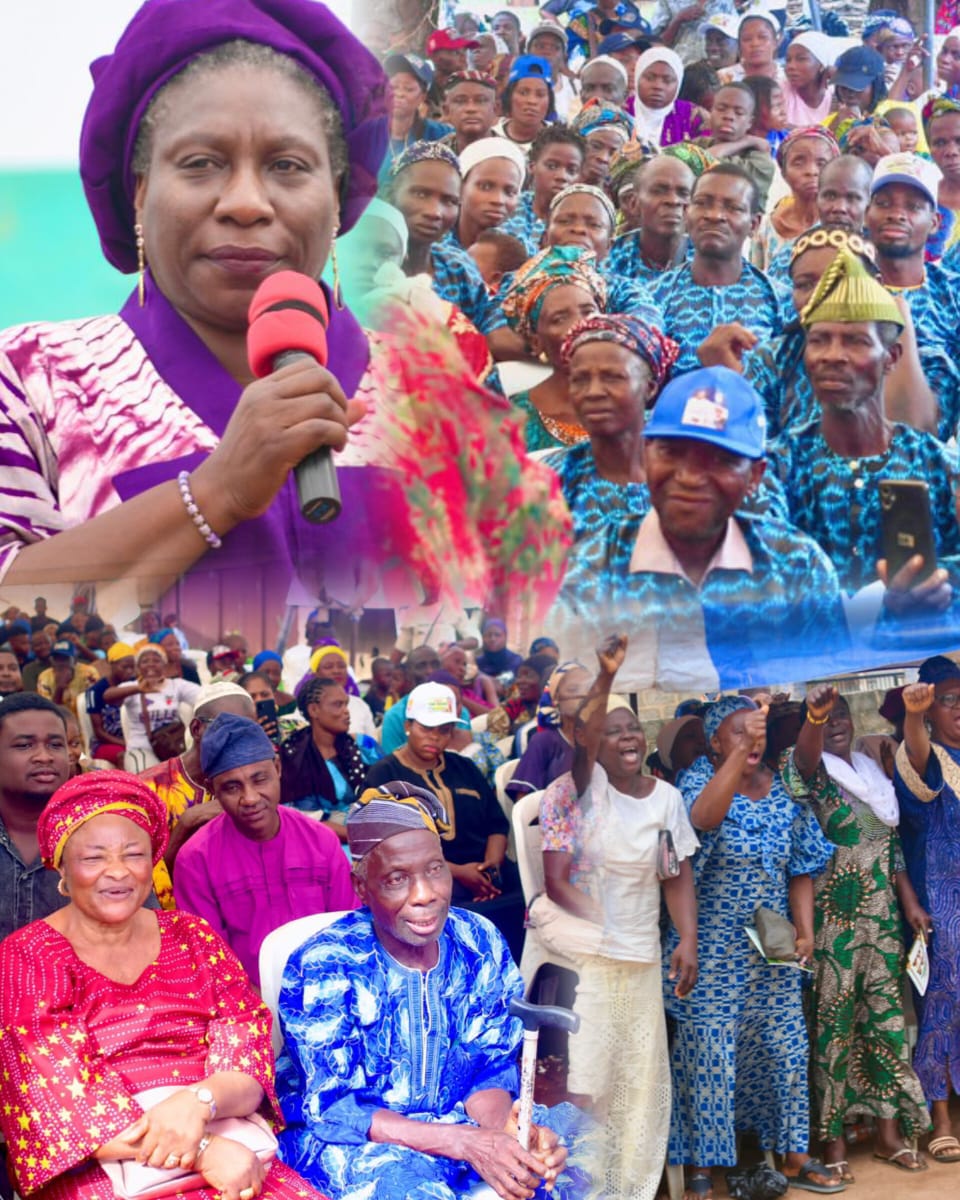 2027: Iyabo Obasanjo, Adebutu deepen PDP grassroots push as 500 ADC members defect
