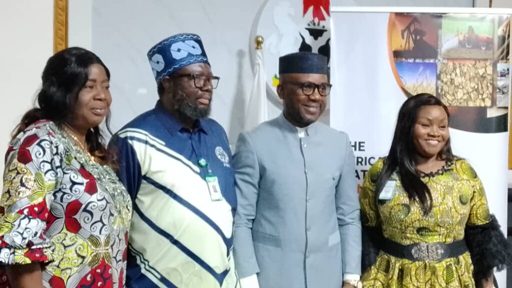 Africa Raw Materials Summit 2026: Nigeria to share raw materials development model with African nations