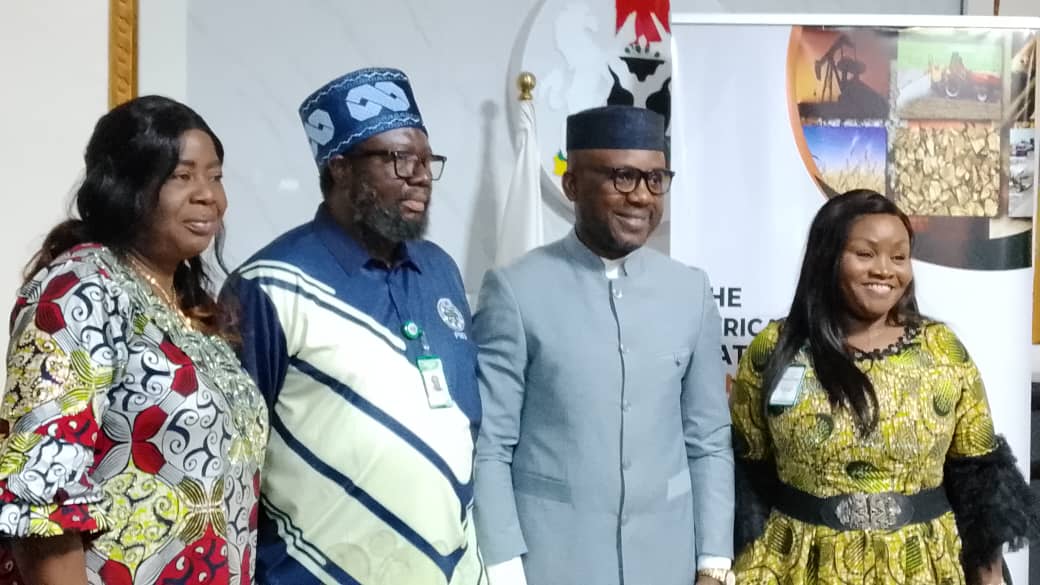 Africa Raw Materials Summit 2026: Nigeria to share raw materials development model with African nations