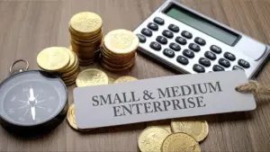 Nigeria’s SMEs: Resilient, essential, in need of right partners