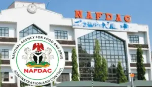 NAFDAC joins African food regulators in Cairo to advance continental food safety cooperation